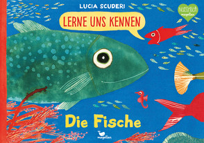 Lerne uns kennen – Die Fische von Neeb,  Barbara, Schmidt,  Katharina, Scuderi,  Lucia