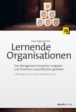 Lernende Organisationen von Vigenschow,  Uwe