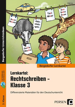 Lernkartei: Rechtschreiben – Klasse 3 von Ley,  Anja