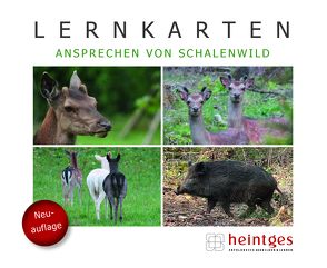 Lernkarten Ansprechen von Schalenwild von Heintges,  Wolfgang, Schmidt,  Klaus