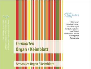 Lernkarten Organ / Keimblatt von Stoll,  Ursula