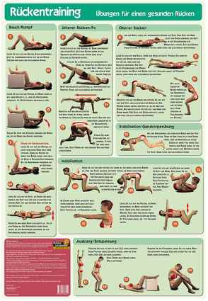 Lernposter Rückentraining von Radler,  Werner