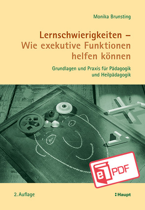 Lernschwierigkeiten – Wie exekutive Funktionen helfen können von Brunsting,  Monika