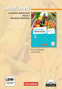 Lernstufen Mathematik – Differenzierende Ausgabe Nordrhein-Westfalen – 5. Schuljahr