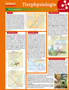 Lerntafel: Tierphysiologie im Überblick