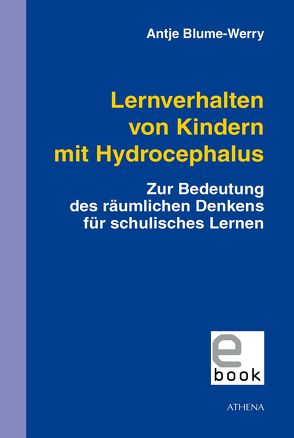 Lernverhalten von Kindern mit Hydrocephalus von Blume-Werry,  Antje