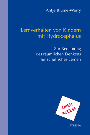 Lernverhalten von Kindern mit Hydrocephalus von Blume-Werry,  Antje