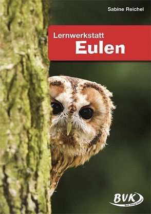 Lernwerkstatt Eulen von Reichel,  Sabine