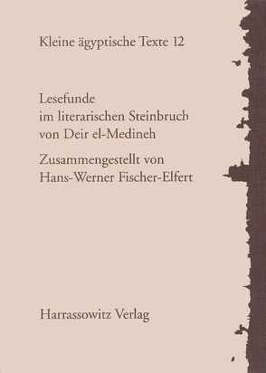 Lesefunde im literarischen Steinbruch von Deir el-Medineh von Fischer-Elfert,  Hans-W.