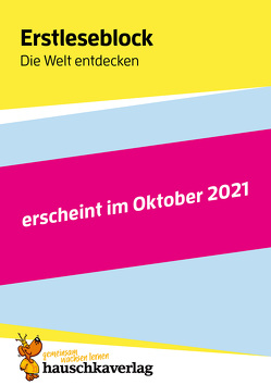 Lesen lernen 1. Klasse für Jungen und Mädchen – Die Welt entdecken von Maier,  Ulrike, Schulte,  Susanne