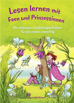 Lesen lernen mit Feen und Prinzessinnen von BATO, Färber,  Werner, Ginsbach,  Julia, Raudies,  Christine, Reider,  Katja, Schliehe,  Karin, Theissen,  Petra