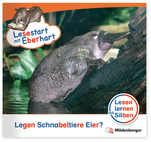 Lesestart mit Eberhart: Legen Schnabeltiere Eier? von Brandau,  Nicole, Drecktrah,  Stefanie, Schulte,  Achim