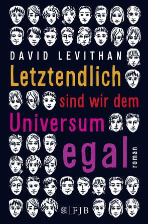 Letztendlich sind wir dem Universum egal von Levithan,  David