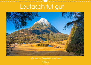 Leutasch tut gut (Wandkalender 2022 DIN A3 quer) von Männel,  Ulrich