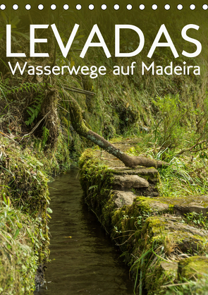 Levadas – Wasserwege auf Madeira (Tischkalender 2021 DIN A5 hoch) von Gimpel,  Frauke