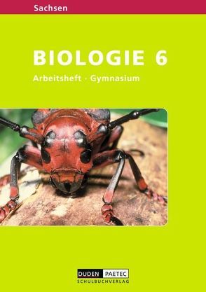 Level Biologie – Gymnasium Sachsen / 6. Schuljahr – Arbeitsheft von Heyden,  Sandra, Kemnitz,  Edeltraud, Manig,  Irene, Pews-Hocke,  Christa, Simon,  Helga, Sommer-Galitz,  Petra, Wood,  Aenne