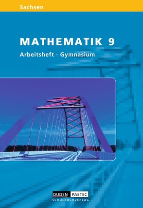 Level Mathematik – Gymnasium Sachsen / 9. Schuljahr – Arbeitsheft von Heinrich,  Heidemarie, Hirsch,  Andrea, Liesenberg,  Günter, Postler,  Ingo, Rolles,  Günther, Schmidt,  Uwe, Schneider,  Cornelia