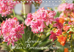 Lewisia, das Porzellanröschen (Tischkalender 2021 DIN A5 quer) von Kruse,  Gisela