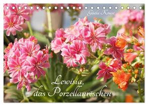 Lewisia, das Porzellanröschen (Tischkalender 2024 DIN A5 quer), CALVENDO Monatskalender von Kruse,  Gisela