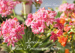 Lewisia, das Porzellanröschen (Wandkalender 2021 DIN A2 quer) von Kruse,  Gisela