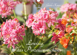 Lewisia, das Porzellanröschen (Wandkalender 2021 DIN A3 quer) von Kruse,  Gisela