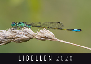 Libellen 2020 von Quelle & Meyer Verlag