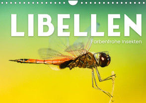 Libellen – Farbenfrohe Insekten (Wandkalender 2024 DIN A4 quer), CALVENDO Monatskalender von Monkey,  Happy