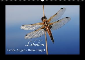 Libellen. Große Augen – flinke Flügel (Wandkalender 2018 DIN A2 quer) von Nitzold-Briele,  Gudrun