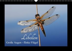 Libellen. Große Augen – flinke Flügel (Wandkalender 2018 DIN A3 quer) von Nitzold-Briele,  Gudrun