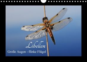 Libellen. Große Augen – flinke Flügel (Wandkalender 2018 DIN A4 quer) von Nitzold-Briele,  Gudrun