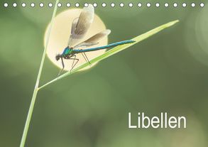 Libellen (Tischkalender 2019 DIN A5 quer) von Kulla,  Alexander