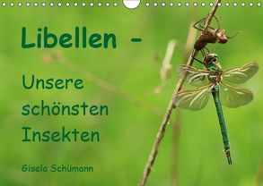 Libellen – Unsere schönsten Insekten (Wandkalender 2019 DIN A4 quer) von Schuemann,  Gisela