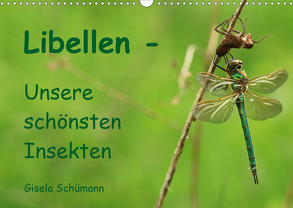 Libellen – Unsere schönsten Insekten (Wandkalender 2020 DIN A3 quer) von Schuemann,  Gisela