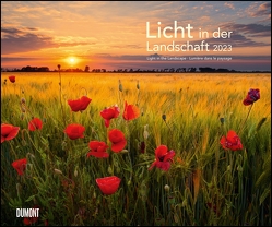 Licht in der Landschaft 2023 – Wandkalender 60,0 x 50,0 cm – Spiralbindung