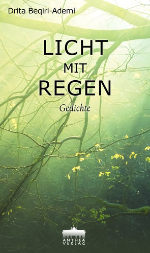 Licht mit Regen von Beqiri-Ademi,  Drita