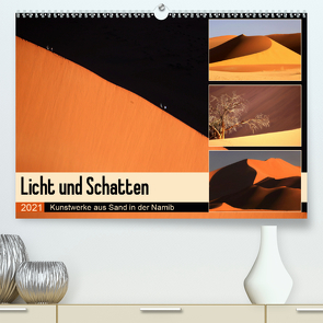 Licht und Schatten – Kunstwerke aus Sand in der Namib (Premium, hochwertiger DIN A2 Wandkalender 2021, Kunstdruck in Hochglanz) von und Michael Herzog,  Yvonne