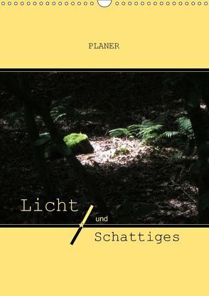 Licht und Schattiges (Wandkalender 2019 DIN A3 hoch) von Keller,  Angelika