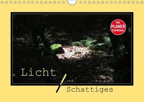 Licht und Schattiges (Wandkalender 2019 DIN A4 quer) von Keller,  Angelika