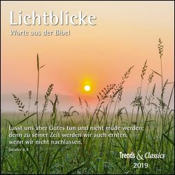 Lichtblicke 2019 – Broschürenkalender – Wandkalender – mit herausnehmbarem Poster und Bibelzitaten – Format 30 x 30 cm von DUMONT Kalenderverlag