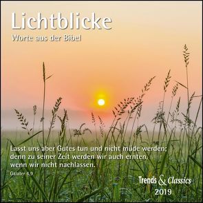 Lichtblicke 2019 – Broschürenkalender – Wandkalender – mit herausnehmbarem Poster und Bibelzitaten – Format 30 x 30 cm von DUMONT Kalenderverlag