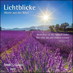 Lichtblicke 2021 – Broschürenkalender – Wandkalender – mit herausnehmbarem Poster und Bibelzitaten – Format 30 x 30 cm