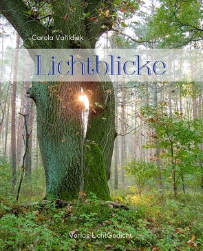 Lichtblicke von Vahldiek,  Carola