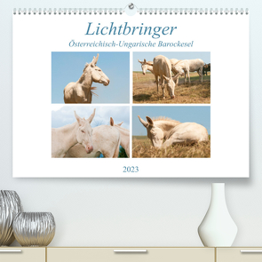 Lichtbringer – Österreichisch-Ungarische Barockesel (Premium, hochwertiger DIN A2 Wandkalender 2023, Kunstdruck in Hochglanz) von Bölts,  Meike