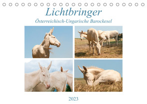 Lichtbringer – Österreichisch-Ungarische Barockesel (Tischkalender 2023 DIN A5 quer) von Bölts,  Meike