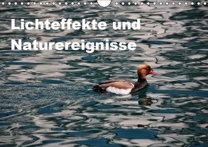 Lichteffekte und Naturereignisse (Wandkalender 2019 DIN A4 quer) von Spiller,  Antonio