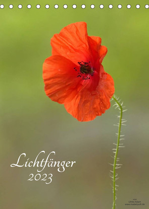 Lichtfänger (Tischkalender 2023 DIN A5 hoch) von Adam,  Ulrike