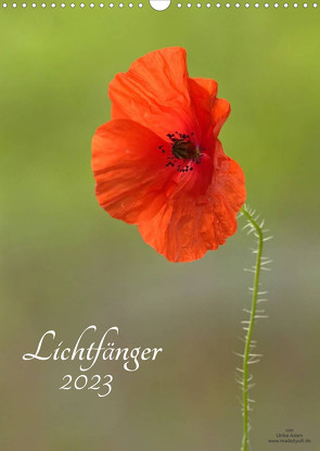 Lichtfänger (Wandkalender 2023 DIN A3 hoch) von Adam,  Ulrike