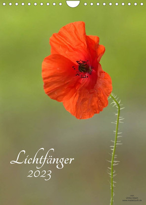 Lichtfänger (Wandkalender 2023 DIN A4 hoch) von Adam,  Ulrike