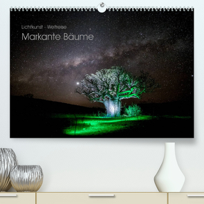 Lichtkunst – Weltreise Markante Bäume (Premium, hochwertiger DIN A2 Wandkalender 2023, Kunstdruck in Hochglanz) von Heilmann,  Gunnar