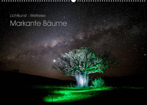 Lichtkunst – Weltreise Markante Bäume (Wandkalender 2023 DIN A2 quer) von Heilmann,  Gunnar